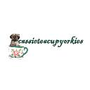 Cassie Teacup Yorkies logo